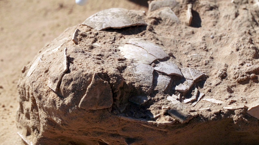 کشف تخم‌ ۴هزار ساله شترمرغ در اردوگاه باستانی
