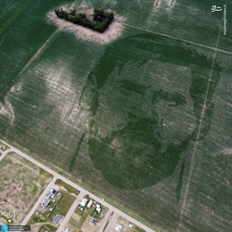 نقاشی چهره مسی بر روی یک زمین کشاورزی