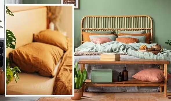 ۵ رنگ برتر برای دیوار اتاق خواب در سال ۲۰۲۳ (روزیاتو)
