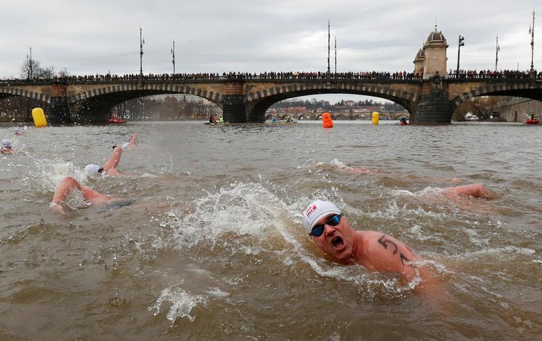 مسابقه شنا در سردترین فصل سال