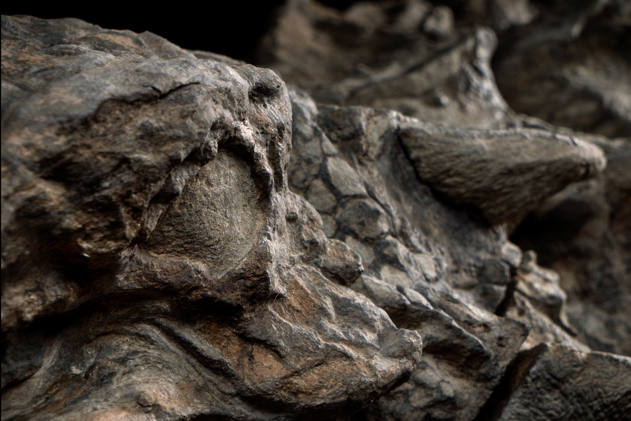 تصاویر حیرت‌انگیز از سالم‌ترین «مومیایی اژدها»(فرادید)
