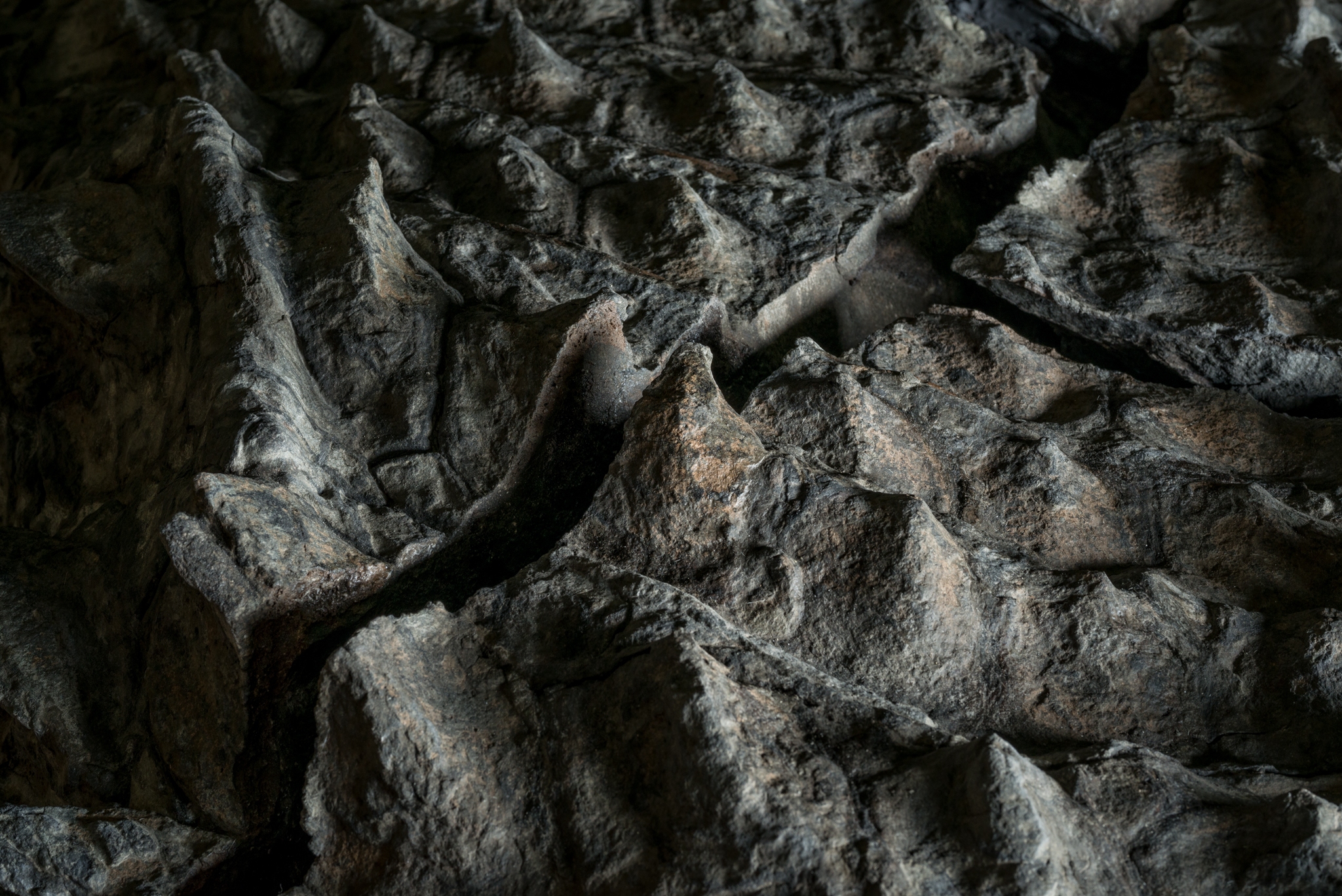 تصاویر حیرت‌انگیز از سالم‌ترین «مومیایی اژدها»(فرادید)