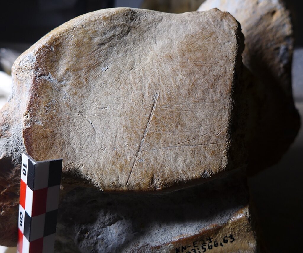 کشف راز استخوان‌های غول‌آسای ۱۲۵هزار ساله