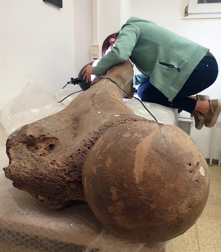 کشف راز استخوان‌های غول‌آسای ۱۲۵هزار ساله