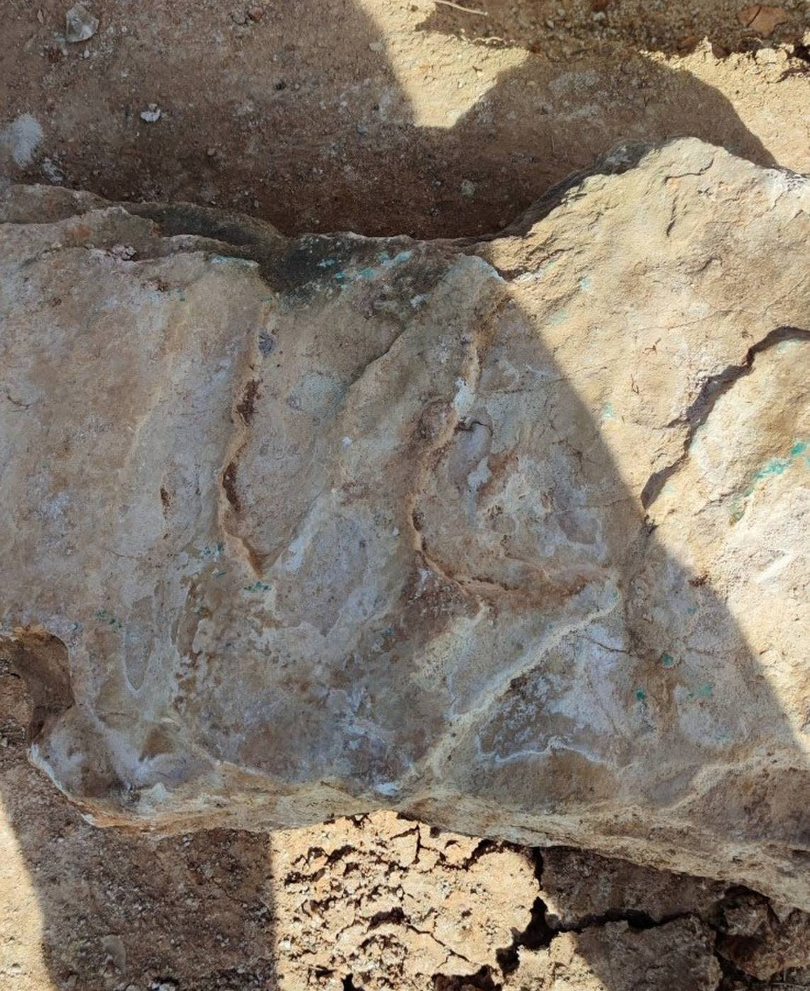تصویر ردپای ۱۴۰میلیون سالۀ دایناسور در یک صومعه