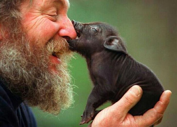 ۱۴ عکس محبت‌آمیز از عشق به حیوانات که لبخند را بر لبانتان می‌نشاند(روزیاتو)