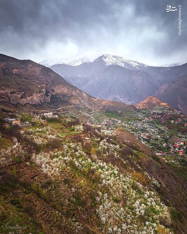 بهار در ارتفاعات مازندران
