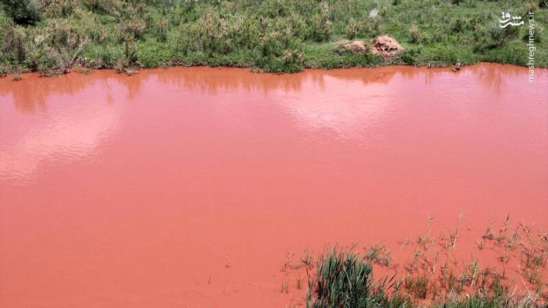 آب رودخانه‌ای در ترکیه قرمز شد