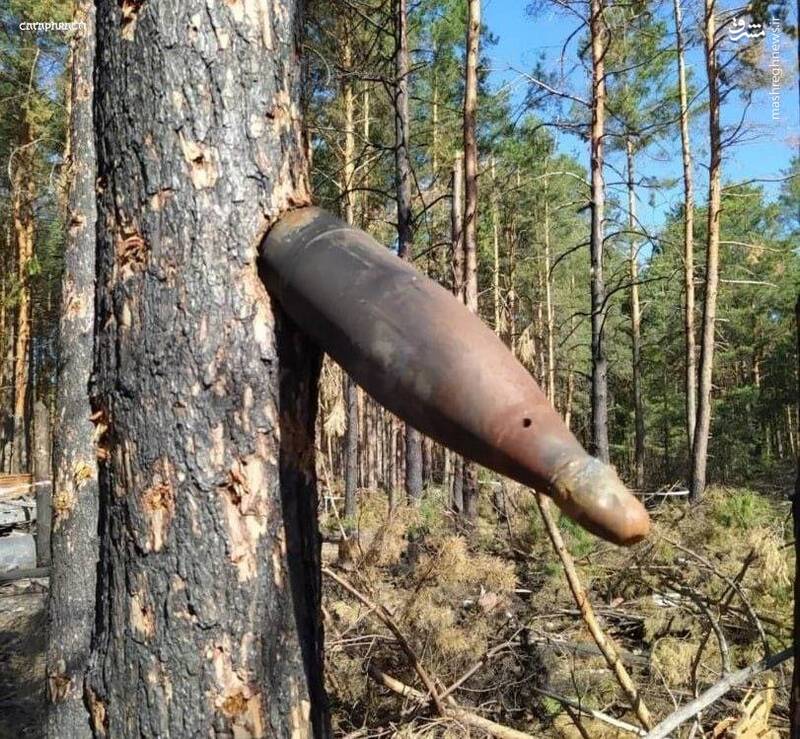 گیر کردن گلوله‌های توپخانه در درختان اوکراین