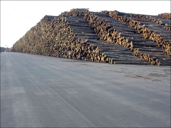 بزرگ‌ترین انبار چوب دنیا کجاست؟!