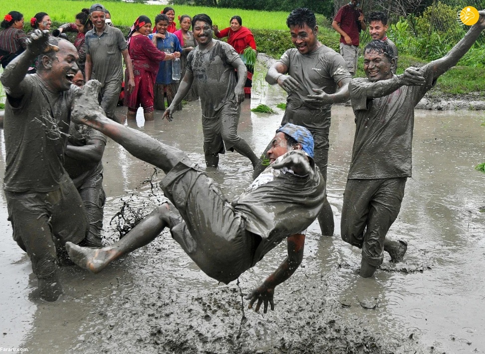 جشن شالیکاران نپالی همزمان با فصل کشت برنج