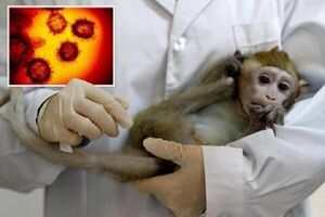 علائم جدید بیماری آبله میمون