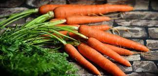 ۵ دلیل برای اینکه هویج بخوریم