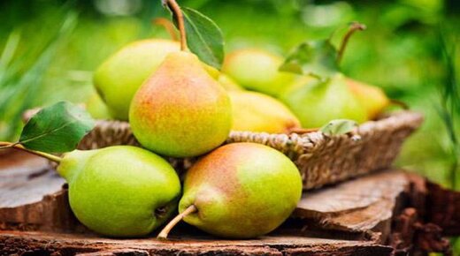 خواص ضدالتهابی و کمک به کنترل وزن با میوه خوشمزه