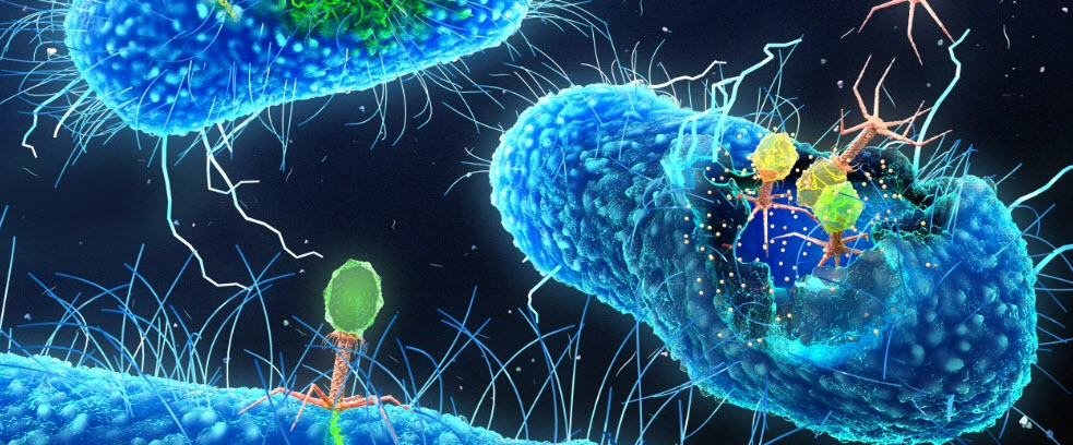 دانشمندان سلول‌های مصنوعی «زنده» مونتاژ کردند، با استفاده از قطعات باکتری‌ها