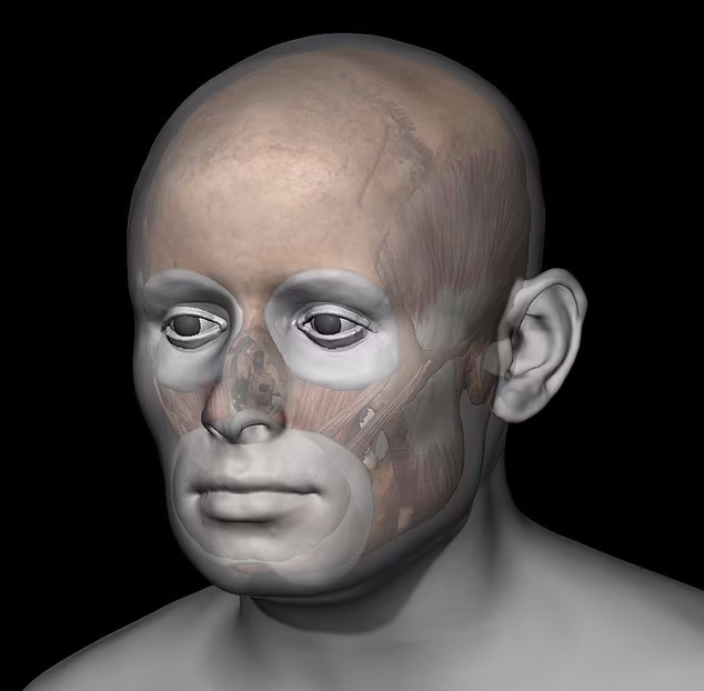 بازسازی سه بعدی چهره زن زیبای قرون وسطایی ۷۰۰ سال پس از مرگ