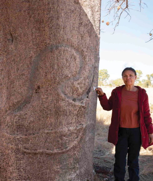 کنده‌کاری‌های عجیب بر روی یک درخت باستانی
