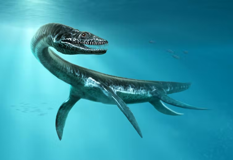 کشف فسیل هیولای دریایی ۱۰۰میلیون ساله