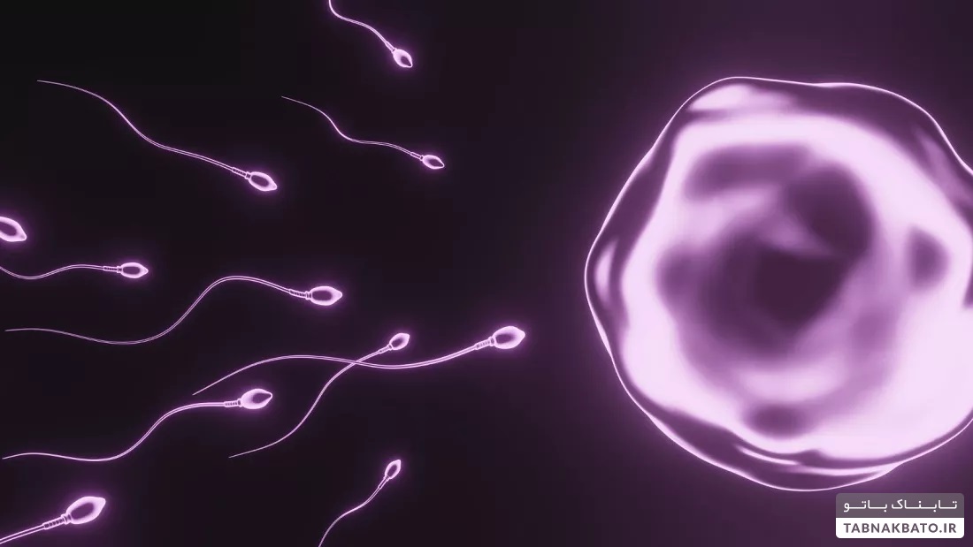 کاهش تعداد اسپرم در مردان سراسر جهان و تهدید آینده بشر