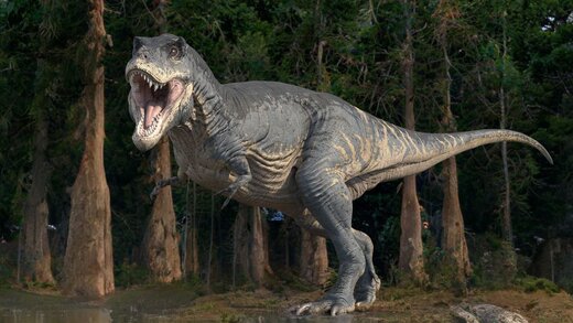 کشفی اعجاب‌آور درباره دایناسور محبوب انسان‌ها