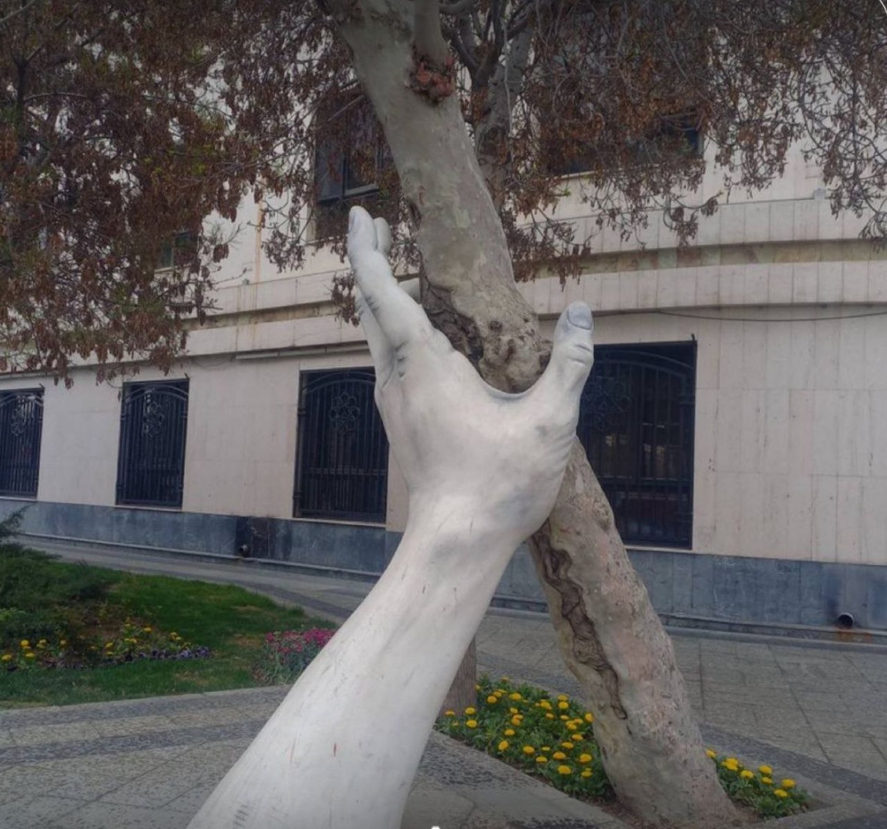 طرح جالب شهرداری مشهد برای یک درخت!