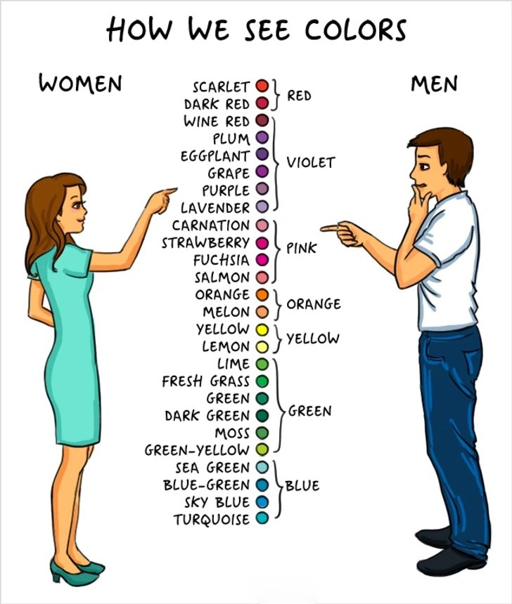 ۱۱ کمیک بامزه ای که تفاوت میان زن و مرد را به تصویر می کشند(روزیاتو)