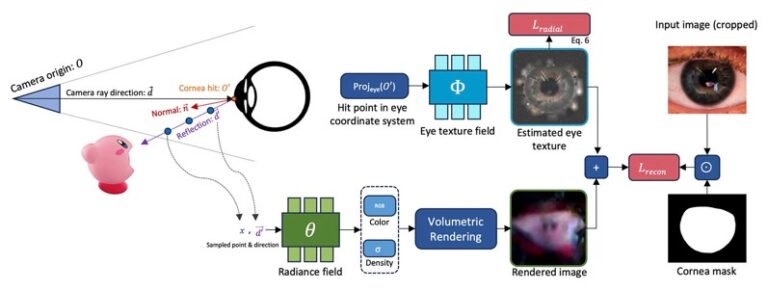 محققان اینک می‌توانند با استفاده از بازتاب تصاویر در چشم‌های شما، عکس اتاقی را که در آن هستید، بازسازی کنند (یک پزشک)