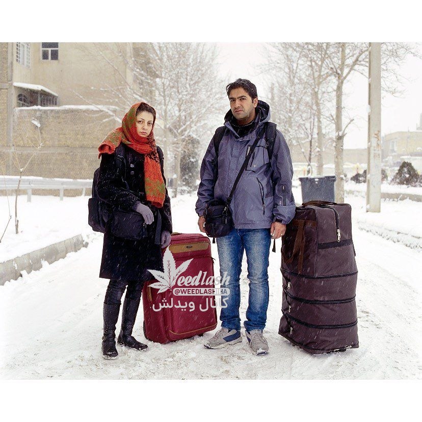 عکس‌های غم‌انگیز چند جوان ایرانی قبل از مهاجرت را ببینید